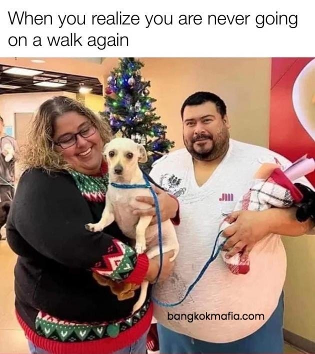 A couple holding a dog with the caption when you realize you're never going on a walk again, Gearing Up for a Strong Return to Muay Thai Training in Cornwall and Beyond after Christmas
